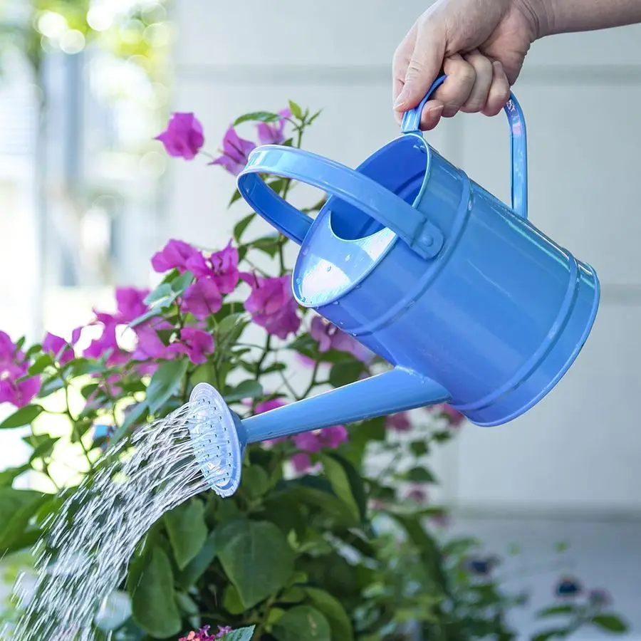 1.5 Liter Small Bright Blue Watering Can for Indoor Outdoor Plants, Cute Little Kids Gardening Watering Cans, Lightweight Portab