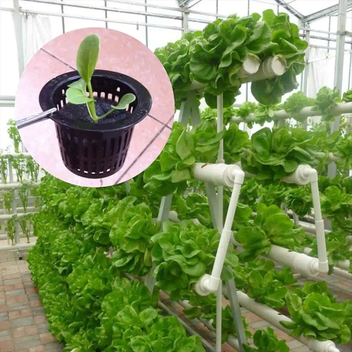 ABLG 100pcs Black Plastic Fixing Basket Gardening Soilless Slotted Mesh Plant Cups, Pots, Buckets, Baskets for Hydroponics