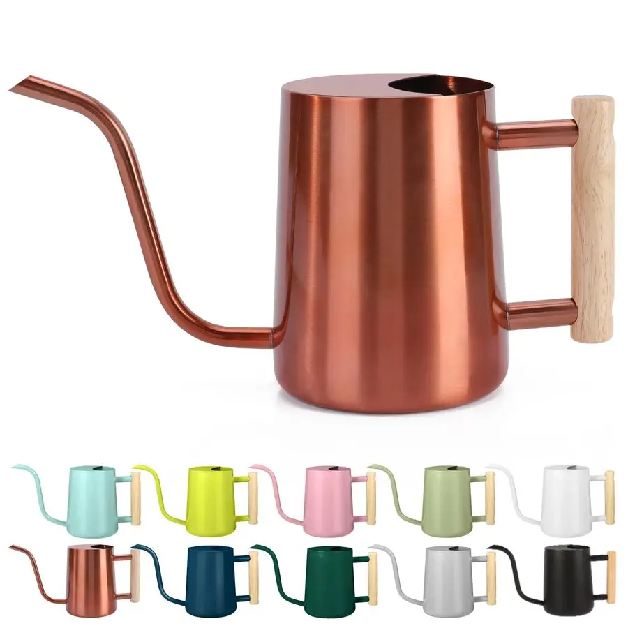 Can Indoor Plants, 35oz Small Stainless Steel Metal Watering Can Modern Decorative Watering Pot with Long Spout for Indoor House