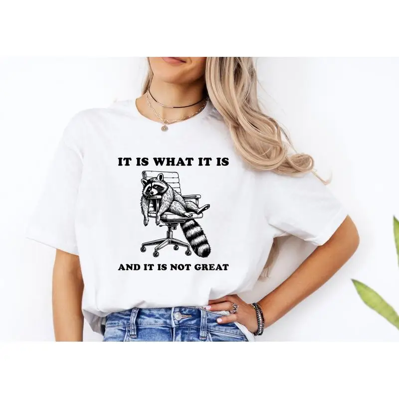 It Is What And Not Great Sweat T Shirt Racoon Meme Funny Sweater Trash Panda Lover