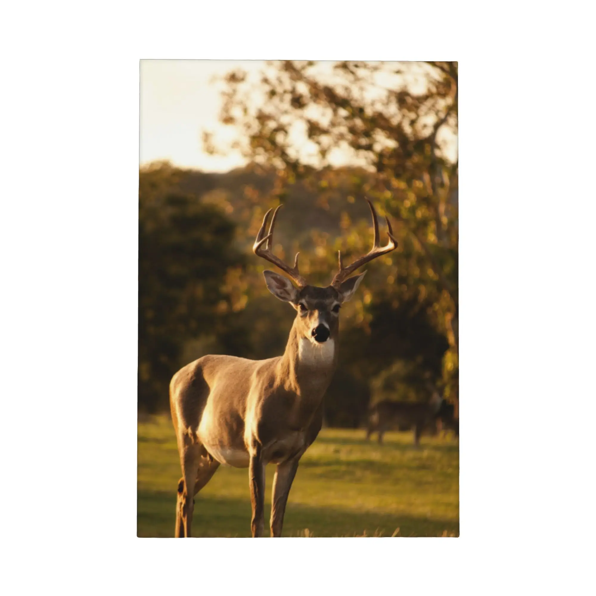 Deer in Autumn Forest Canvas Framed Wall Art, Color Wildlife Landscape Print, Rustic Woodland Poster, Living Room Wall Decor