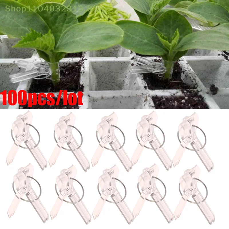 100Pcs 15x35MM Grafting Clips Vegetables Grafted Clamp Garden Plants Seedling Transparent Plastic Joint Gardening Tools