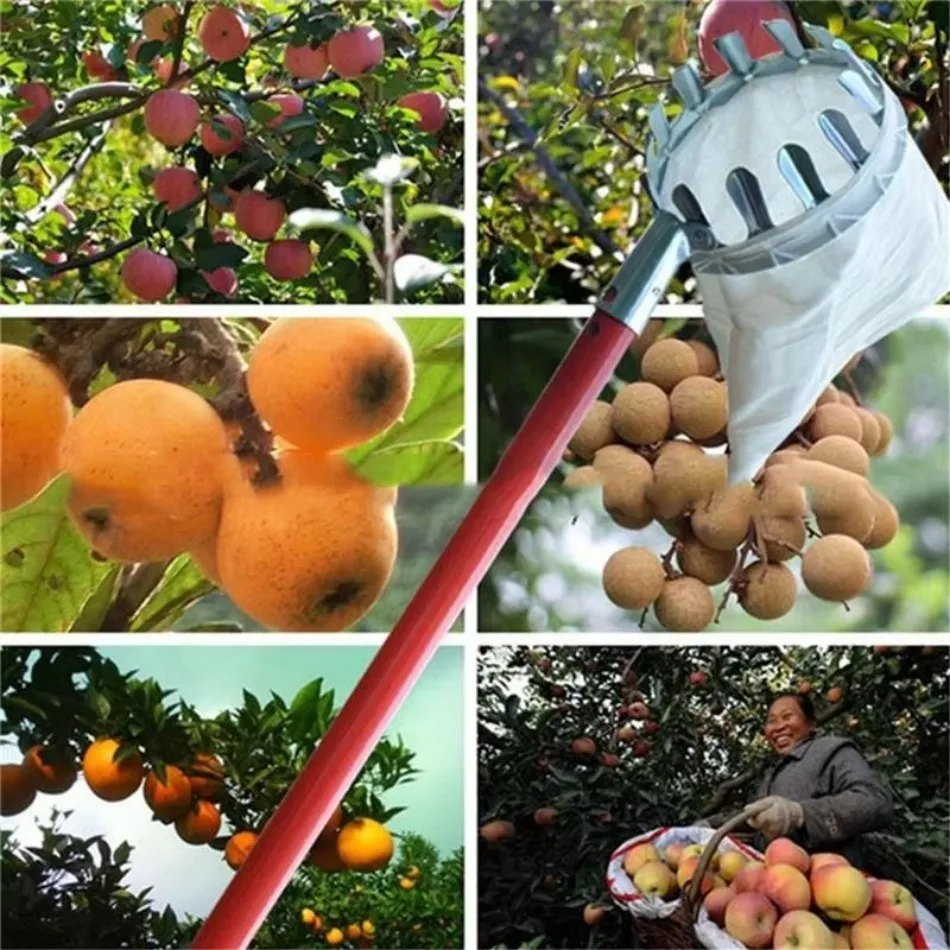 Multi Purpose Telescopic Galvanized Iron Fruit Picker for Garden Picking High-altitude Fruit Picker Agriculture Tools Farm Tool