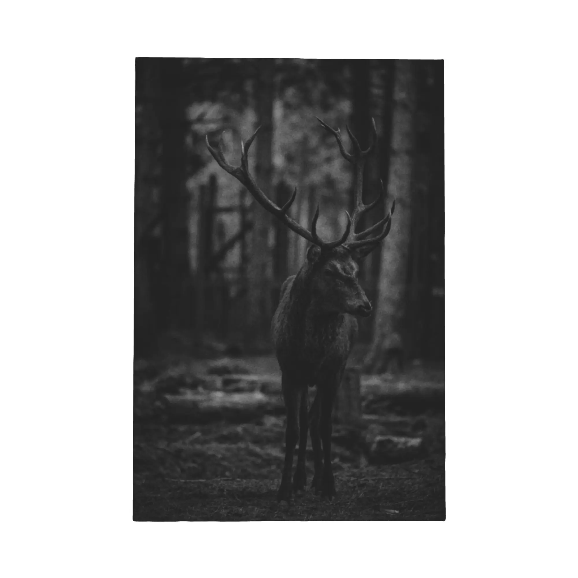 Black and White Deer Silhouette Canvas Framed Wall Art, Monochrome Wildlife Print, Woodland Poster, Minimalist Home Decor