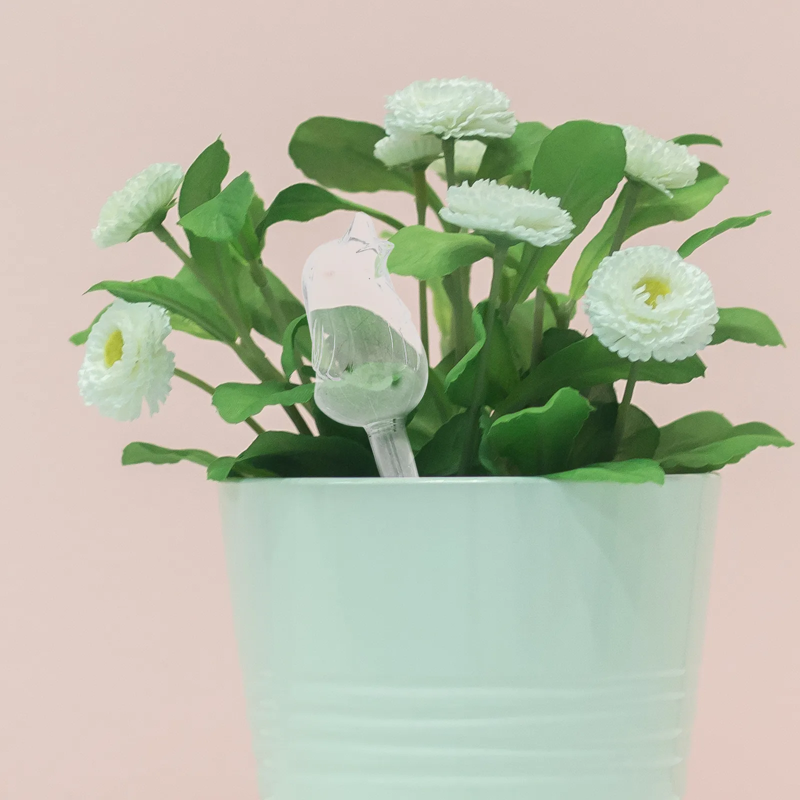 Automatic Glass Globe Self- Device for Potted Plants Garden Bonsai Plant Waterer Irrigation System Home Plant